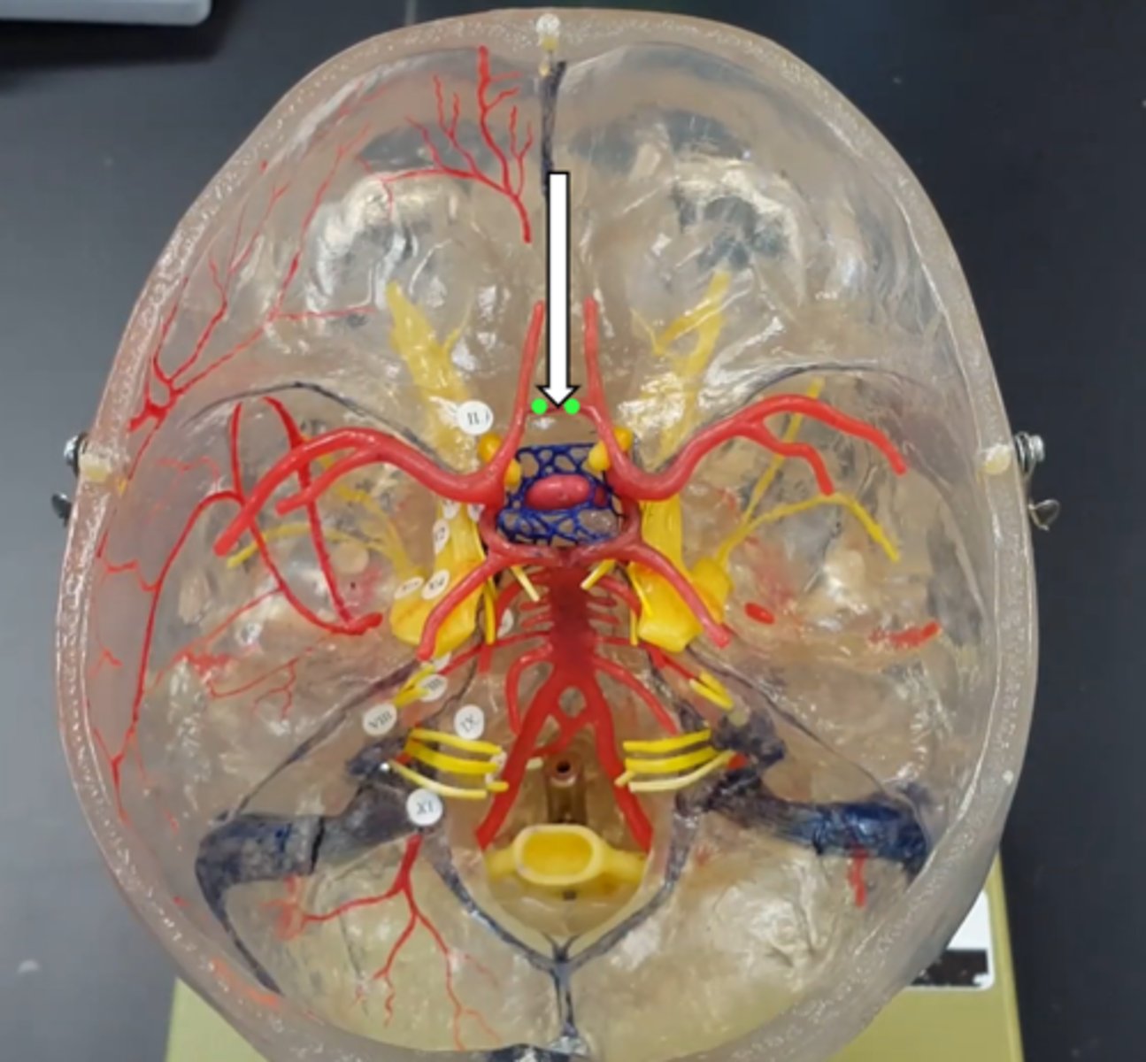 <p>name the structure</p>
