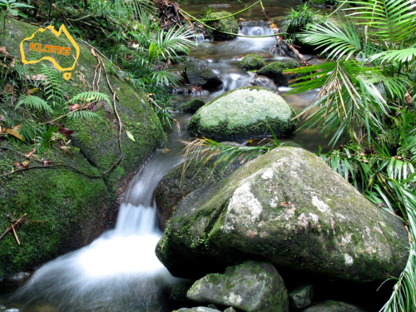 <p>creek, stream</p>