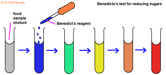 <ol><li><p>add <strong>acid </strong>and <strong>boil</strong></p></li><li><p>let it cool</p></li><li><p>add an <strong>alkaline to neutralize</strong></p></li><li><p>then <strong>add Benedicts reagent and heat</strong></p></li><li><p>positive result: turns blue to <strong>red <u>precipitate</u></strong></p></li></ol><p></p>