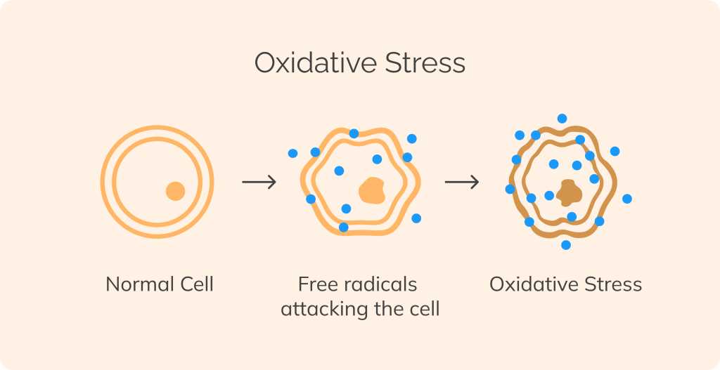 <p>a more recent alternative</p><p>gas in a highly charged vacuum state, the gas creates free radicals that destroy microbes</p>