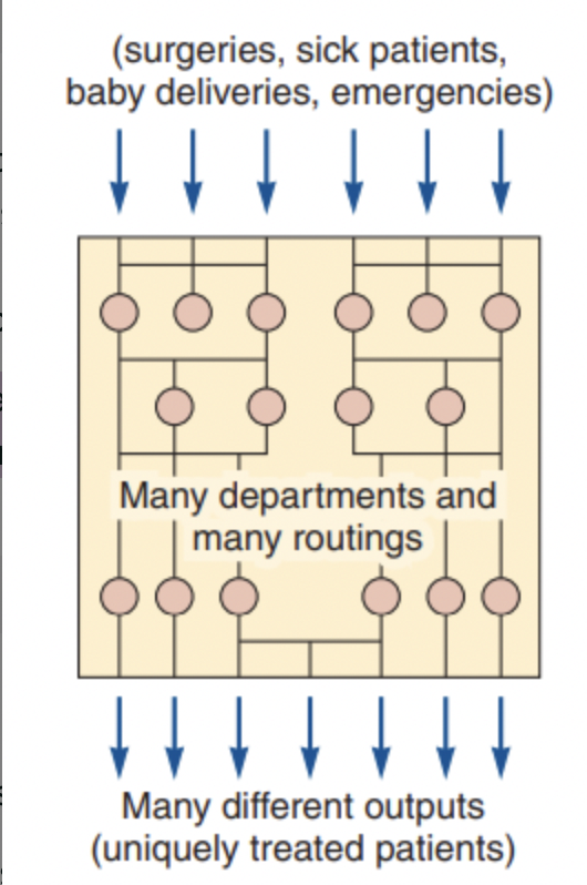 <p>production facility organized around processes to facilitate low-volume, high -variety production</p><p>ex. Arnold Palmer Hospital, many inputs many outputs</p>