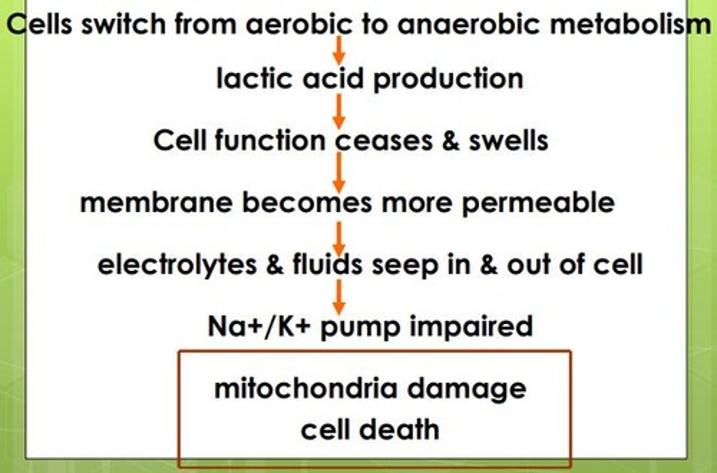 <p>Initial stage: cells become leaky and switch to anaerobic metabolism; Non-progressive stage: attempt to correct metabolic upset; Progressive stage: compensation begins to fail; Refractory stage: organs fail and shock can no longer be reversed.</p>