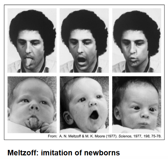 <p>Imitation of newborns; babies are able to mimic parent’s facial expressions from a very young age. </p>