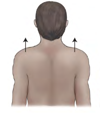 <p>Movement term </p>