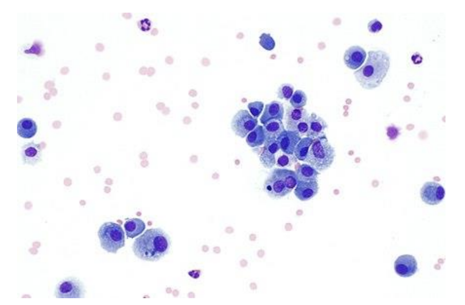 <p>koks čia dažymo būdas?</p>