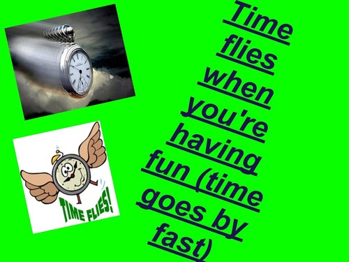 <p>An expression/saying (figure of speech) that doesn't make sense if you take it literally. Examples: “It’s raining cats and dogs” means that it is raining hard. “Cat got your tongue?” is what we say to someone if they can’t think of what to say.</p>