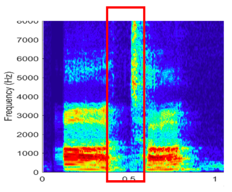 <p>Which type of consonant is shown in the spectrogram?</p><p>-nasal</p><p>-fricative</p><p>-stop</p><p>-glide</p>