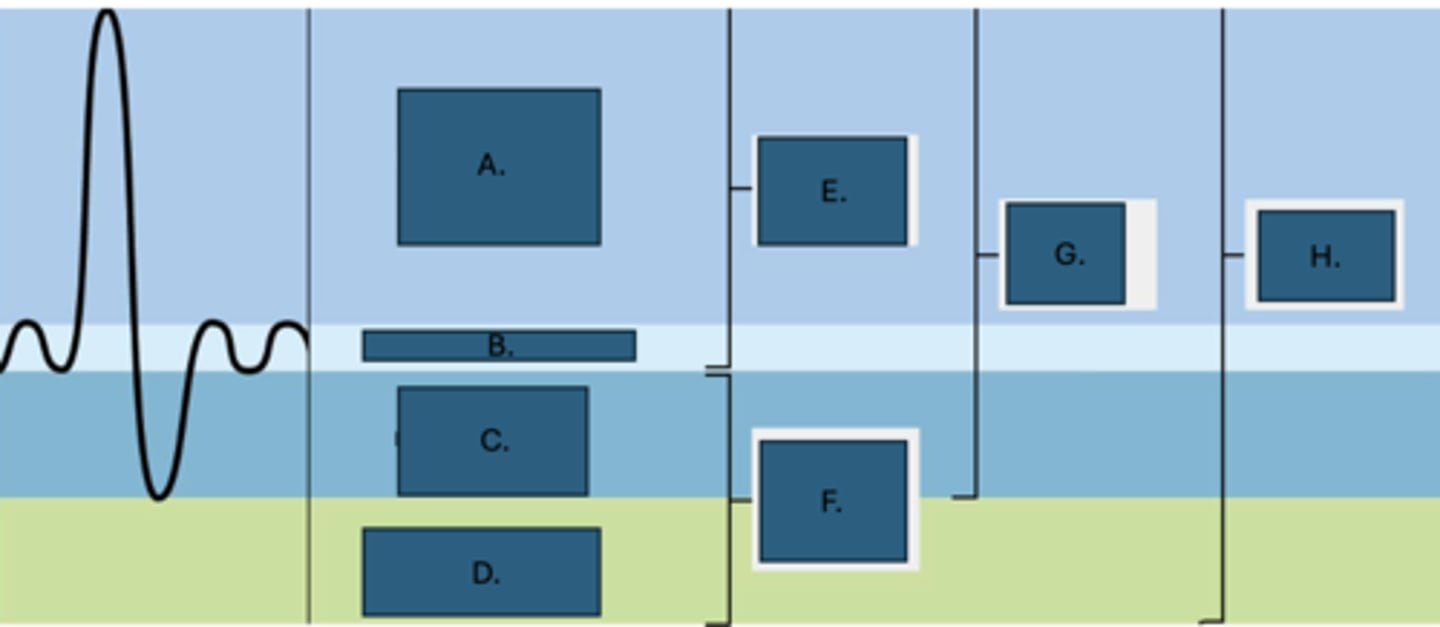 <p>What is E?</p>