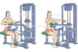 <ul><li><p>Latissius Dorsi</p></li><li><p>Trapezius</p></li><li><p>Rhomboids</p></li><li><p>Posterior Deltoids</p></li><li><p>Biceps Brachii</p></li></ul><p></p>