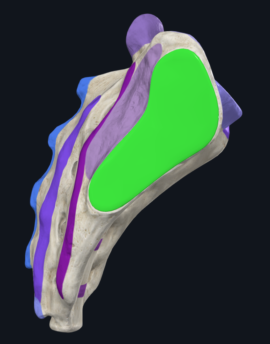 <p>Location of GREEN:</p>