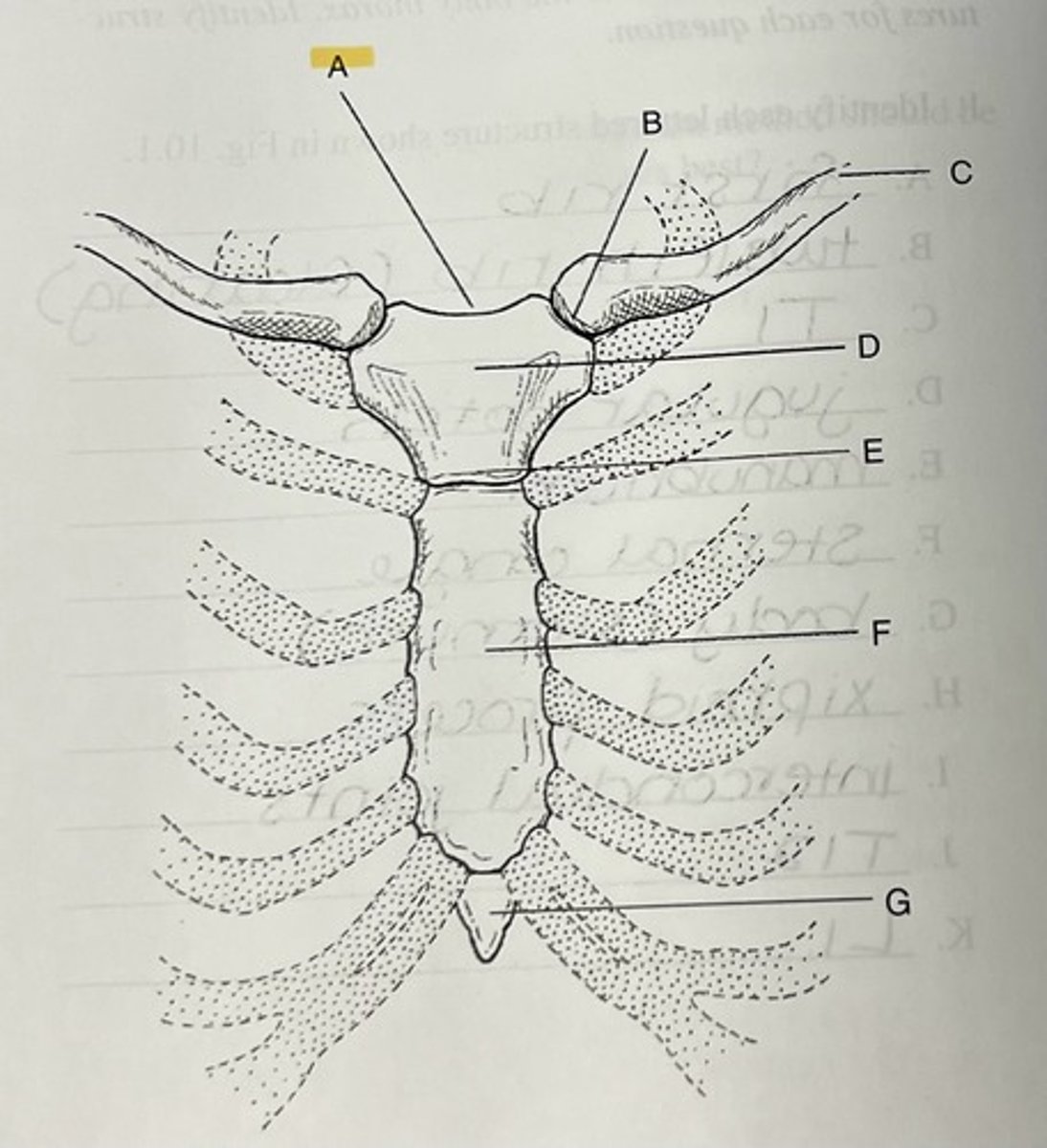 knowt flashcard image