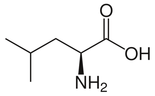 C6H13NO2