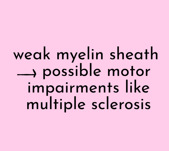 <p>myelin is a protective covering that wraps around the axon of neurons. it’s so important because deterioration of the myelin sheath can lead to motor impairments, like multiple sclerosis.</p><p>at birth, babies haven’t myelinated the axons of their neurons. the development of the myelin sheath (not complete until around age 25) is crucial to Behavior, Movement, and Thought.</p>