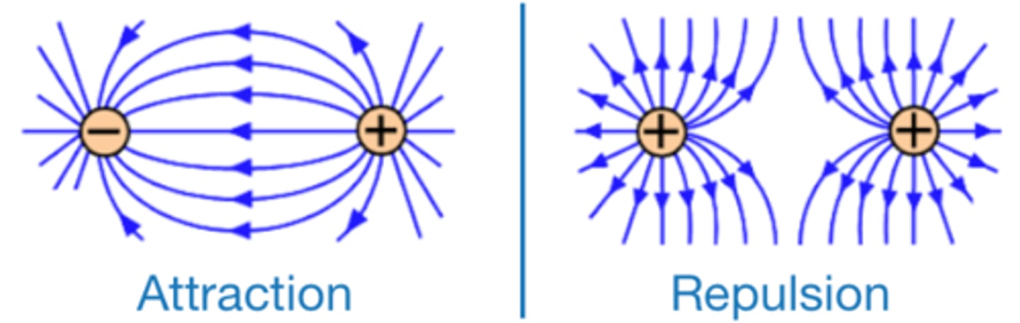 <p><b>decreases</b></p>