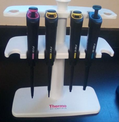 <p>micropipette </p>