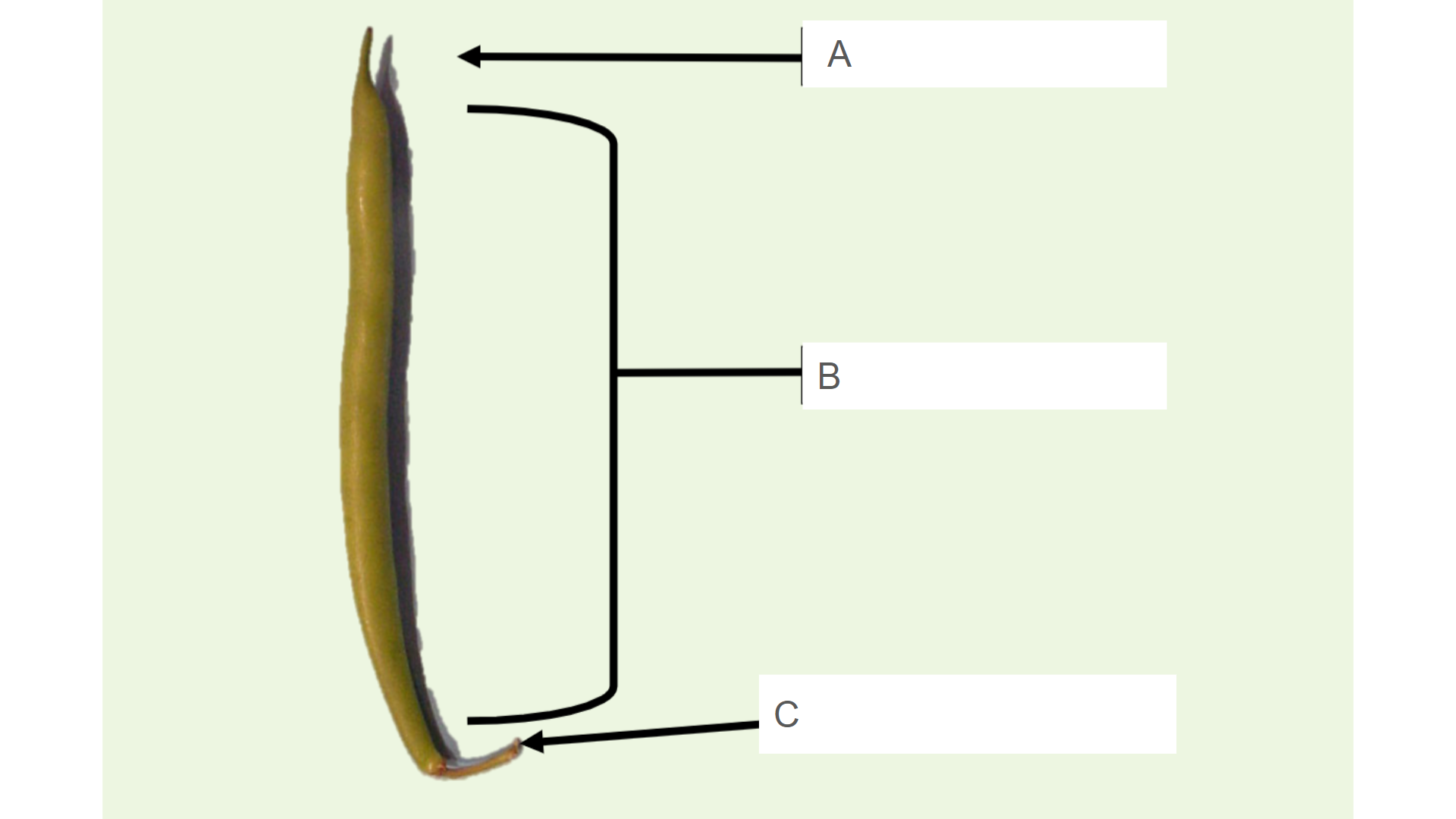 <p>What is C?</p>