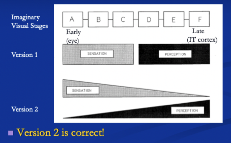 <p><span>They all do sensation and perception. Early on in the visual system there is more sensation but there is still a little bit of perception.</span></p><p><span>As you get to the end of the visual system there is more perception and less sensation</span></p><p></p>
