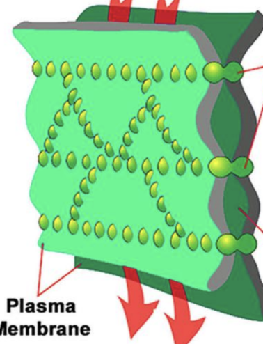 <p>What junction?</p>