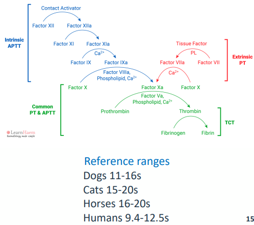 <p>• Prothrombin time</p><p>• Blood sample collected in citrate</p><p>• Plasma prepared by centrifugation</p><p>• Coagulation initiated by TF</p><p>• + added calcium</p><p>• Time to formation of fibrin clot measured</p><p>• Reference plasma from 8 animals</p><p>• Important to pick correct TF</p><p>• Testing for deficiencies in the extrinsic pathway</p>