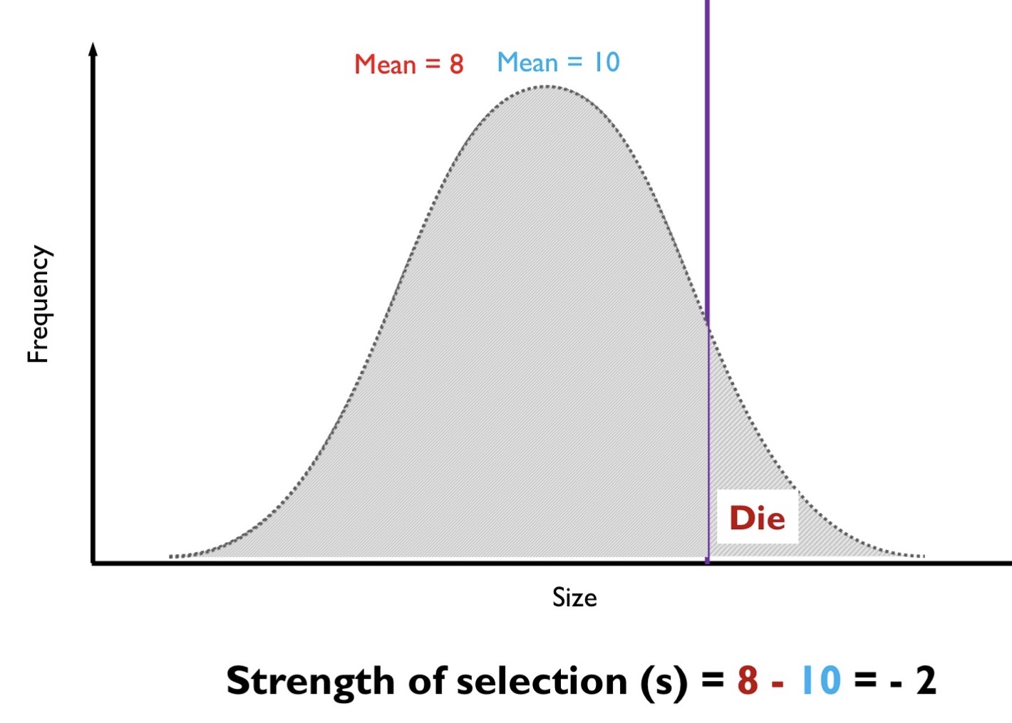 <p>S (Intensity of Truncation Selection) = Z* (Mean of the Population Post-Selection) - (Mean of the Population Pre-Selection)</p>