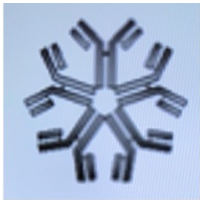 <p>The Ig class shown below is: (pentamer)</p><p class="p1">a. IgA</p><p class="p1">b. IgE</p><p class="p1">c. IgD</p><p class="p1">d. IgM</p><p class="p1">e. IgA</p>