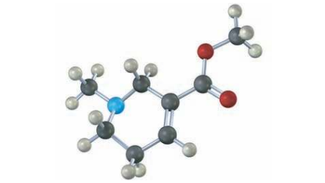 <p>Identify the functional groups in the following model of arecoline, a veterinary drug used to control worms in animals. Convert the drawing into a linebond structure and a molecular formula (red 5 O, blue 5 N).</p>