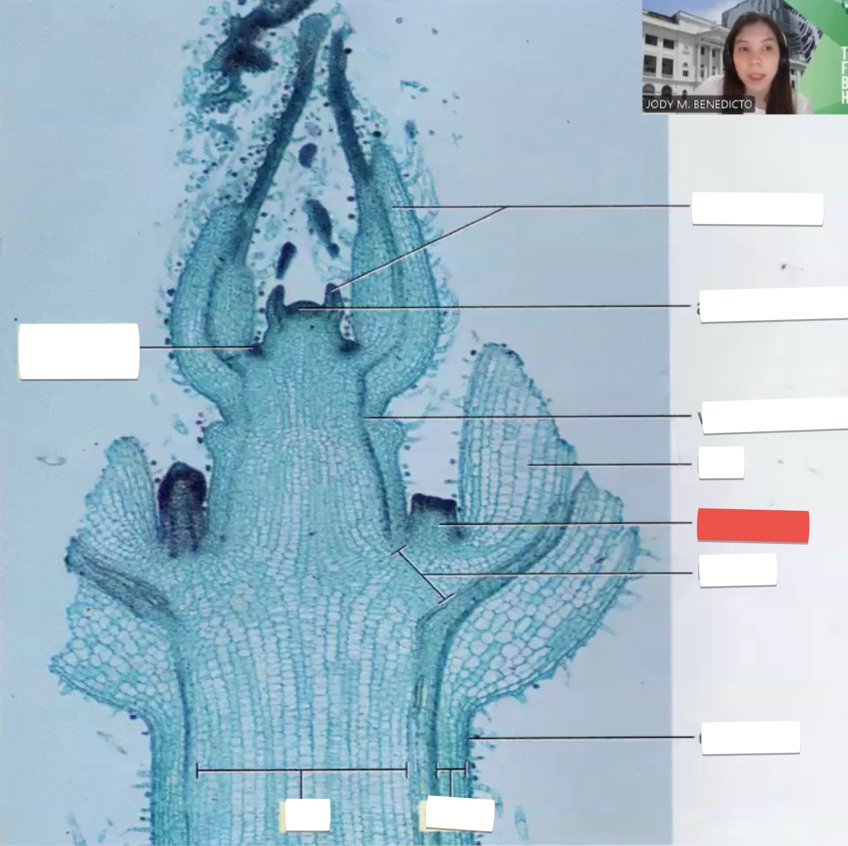<p>identify the part in red</p>