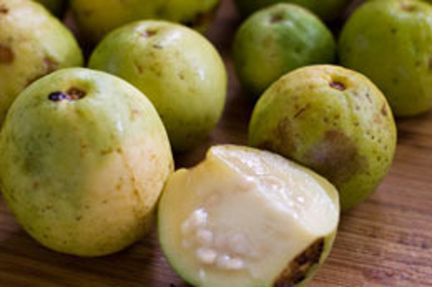 <p>Costa Rican Guava</p>