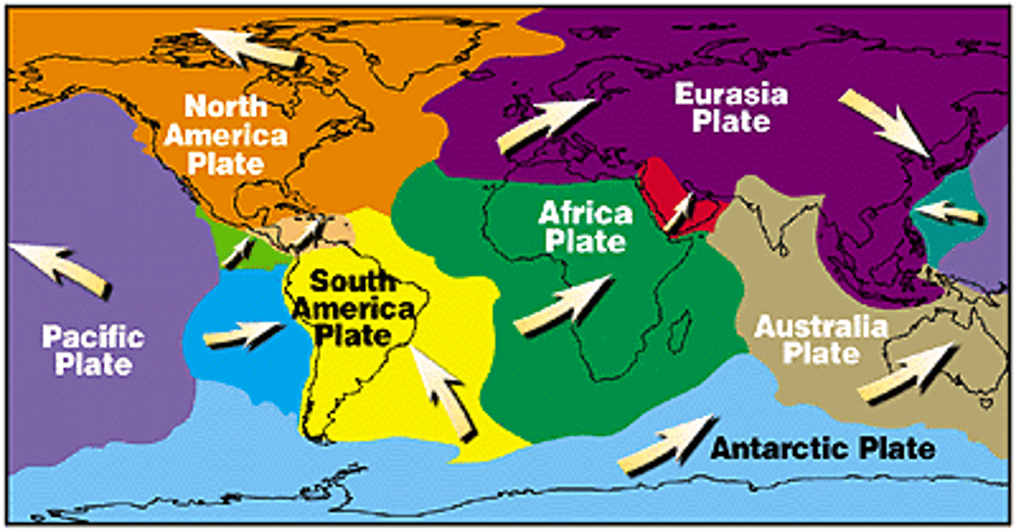 <p>theory that describes the lithosphere as a dozen large plates that move from convection in the solid mantle</p>