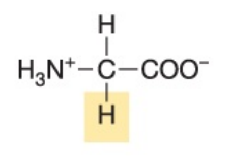 <p>Non-polar, hydrophobic</p>