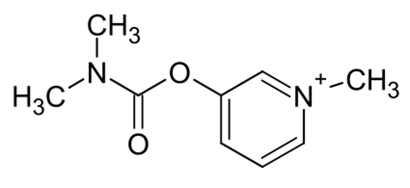 <p>can this molecule (pyridostigmine) cross the BBB</p>
