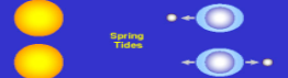  new and full moon; gravitational forces from moon and sun add together; especially high and low tides; largest daily tidal range