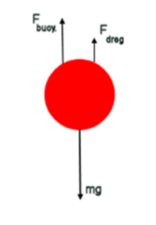 <ol><li><p><strong>Fuerza por inercia:</strong> fuerza de aceleración sobre la partícula</p></li><li><p><strong>Flotabilidad:</strong> fuerza de resistencia ejercida por el medio en el cual está sumergida la partícula → fuerza opuesta a la gravedad, tendencia de un líquido a ocupar el espacio de una partícula</p></li><li><p><strong>Fuerza de arrastre:</strong> fuerza de reacción a la aceleración por inercia que tiende a detener el movimiento de la partícula</p></li></ol><p></p>