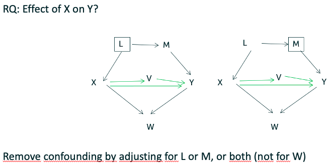 Remove confouding by adjusting for L or M, not for both. 
