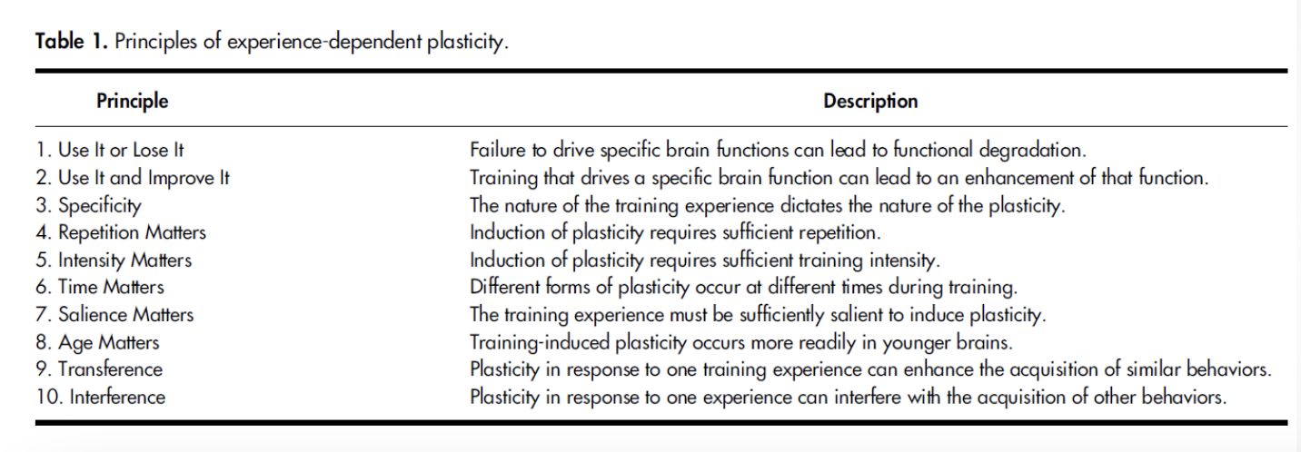 <ol><li><p><strong><u>***use it or lose it</u></strong></p><ol><li><p><strong><u>***failure to drive specific brain functions can lead to ***functional degradation </u></strong></p></li></ol></li><li><p><strong><u>***use it and improve it </u></strong></p><ol><li><p><strong><u>***training that drives a specific brain function can lead to ***enhancement of that function </u></strong></p></li></ol></li><li><p><strong><u>***specificity </u></strong></p><ol><li><p><strong><u>the ***nature of the training experience ***dictates the ***nature of the plasticity </u></strong></p></li></ol></li><li><p><strong><u>***repetition matters</u></strong></p><ol><li><p><strong><u>***induction of plasticity ***requires sufficient repetition </u></strong></p></li></ol></li><li><p><strong><u>***intensity matters</u></strong></p><ol><li><p><strong><u>***induction of plasticity ***requires sufficient training intensity </u></strong></p></li></ol></li><li><p><strong><u>***time matters</u></strong></p><ol><li><p><strong><u>***different forms of plasticity ***occur at different times during plasticity </u></strong></p></li></ol></li><li><p><strong><u>***salience matters</u></strong></p><ol><li><p><strong><u>the ***training experience must be ***sufficiently salient to induce plasticity </u></strong></p></li></ol></li><li><p><strong><u>***age matters</u></strong></p><ol><li><p><strong><u>training-induced ***plasticity ***occurs more readily in ***younger brains</u></strong></p></li></ol></li><li><p><strong><u>***transference </u></strong></p><ol><li><p><strong><u>***plasticity in response to 1 training experience ***can enhance the acquisition of ***similar behaviors </u></strong></p></li></ol></li><li><p><strong><u>***interference</u></strong></p><ol><li><p><strong><u>***plasticity in response to 1 experience ***can interfere with the acquisition of ***other behaviors </u></strong></p></li></ol></li></ol><p></p>