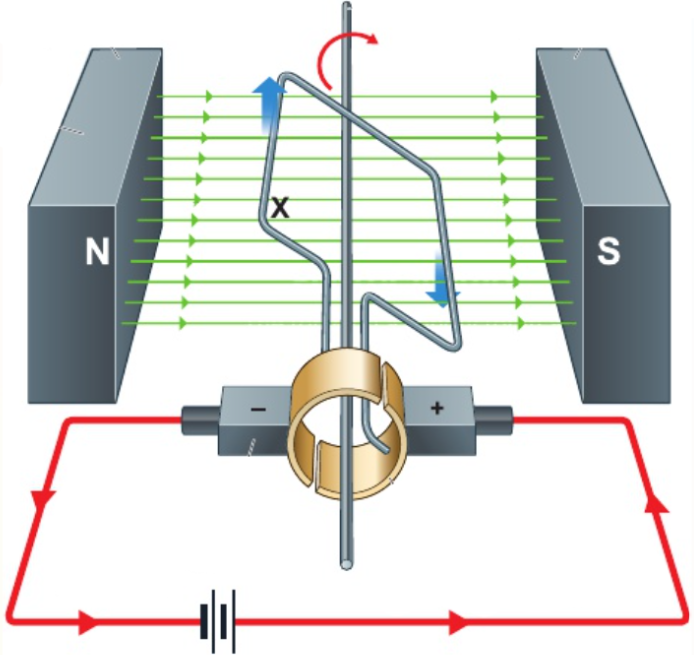 <p><strong>force</strong> on each part of <strong>wire carrying current</strong> in <strong>magnetic field</strong></p><p><strong>split-ring commutator:</strong> <strong>current changes direction every half turn</strong> - ensures <strong>force on coil</strong> always <strong>turns it same direction</strong></p><p><strong>carbon brushes:</strong> make <strong>electrical contacts</strong> between <strong>circuit</strong> &amp; <strong>motor</strong></p>