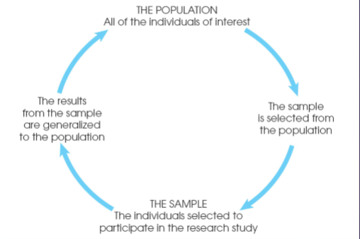 <p>The group you are actually interested in drawing some conclusions about.</p><p></p>