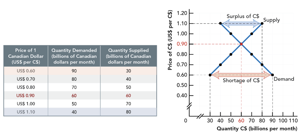 <ul><li><p><em>At</em> equilibrium exchange rate: quantity demanded = quantity supplied of C$</p></li><li><p><em>Below</em> equilibrium exchange rate: quantity demanded > quantity supplied — excess demand (<em>shortages</em>) for C$, buyers competition causes exchange rate to <em>rise</em></p></li><li><p><em>Above</em> equilibrium exchange rate: quantity demanded < quantity supplied — excess supply (<em>surpluses</em>) for C$, buyers competition causes exchange rate to <em>fall</em></p></li></ul><p></p>