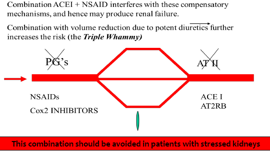 <p>ACEI &amp; ARBS block ATII which dilates the efferent arteriole and decreases glomerulus filtration pressure</p><p>NSAIS block prostaglandins which then constricts the afferent arteriole</p>