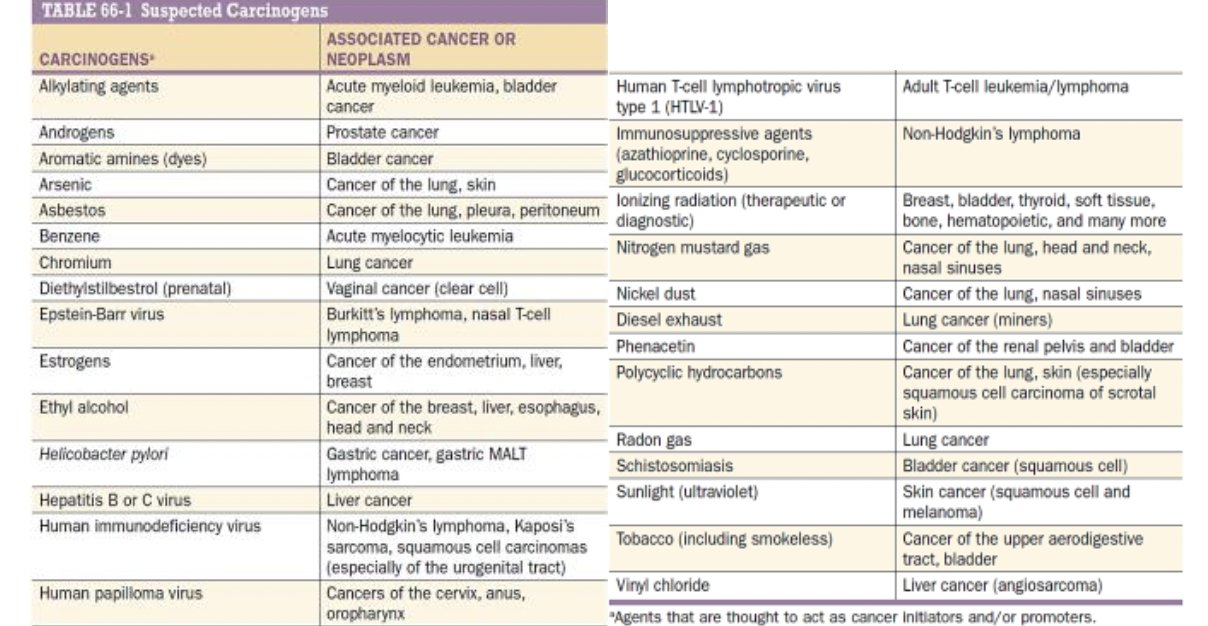<p><strong>Liver Cancer </strong>(Angiosarcoma)</p>