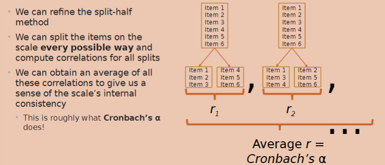 <ul><li><p>internal consistency estimates relate to item homogeneity; to what extent items measure the same construct </p></li><li><p>involves splitting a scale into two halves and calculating an average score for each half of the scale</p></li><li><p>calculate correlation between those half-scale scores; string correlation = high split-half reliability</p></li><li><p>reliability will depend on how you split the data</p></li></ul>