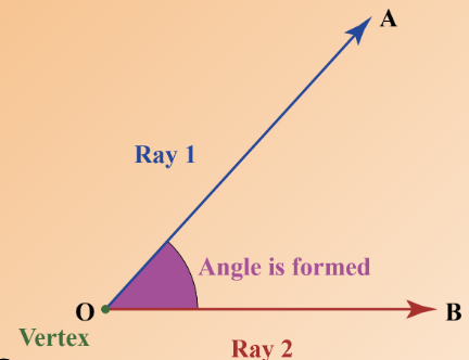 <p>An angle measuring  less than 90 degrees</p>