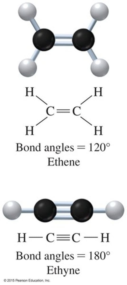 <p>Compounds that contain a carbon−carbon double bond.</p>