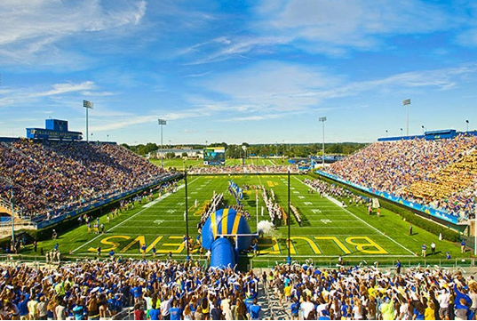 <p>What is the bottle neck theory (filter theory, attention theory 2) and how does it explain the process of filtering visual information? Use this image of a football game as an example.</p>