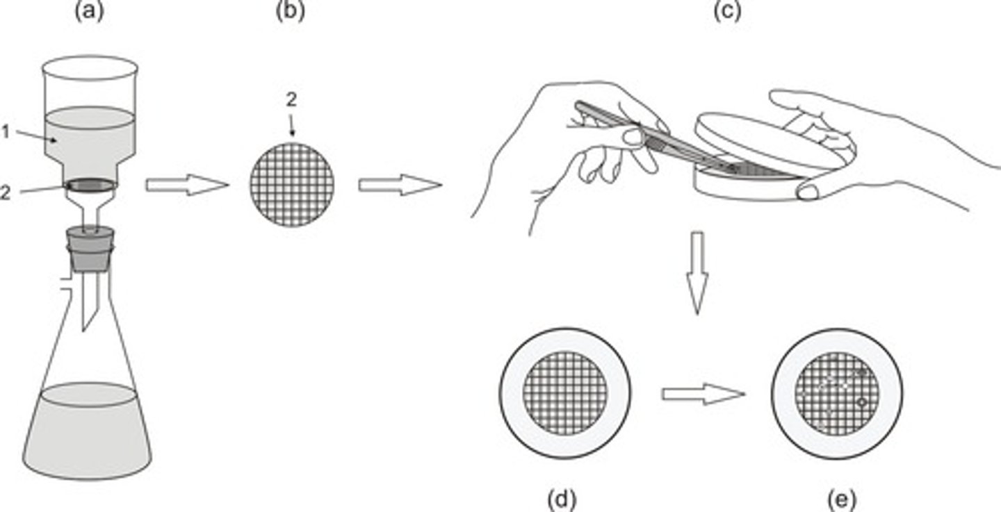<p>known vol. filtered through a membrane; membrane plated and colonies counted</p>