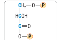 <p>What molecule is this?</p>