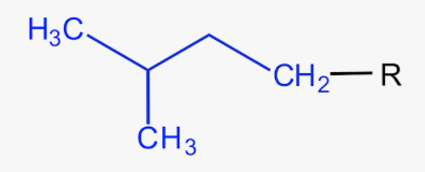 common name for 3-methylbutyl