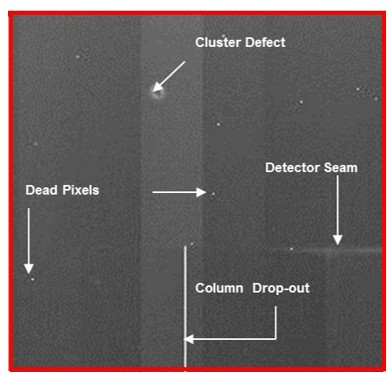 <ul><li><p>pixels that don’t respond to radiation and appear as small dots <strong>prior</strong> to pre-processing</p></li><li><p>fixed through <strong>pixel calibration: </strong>interpolation, assigning a digital value from the average of the surrounding 8 pixels</p></li></ul><p></p>
