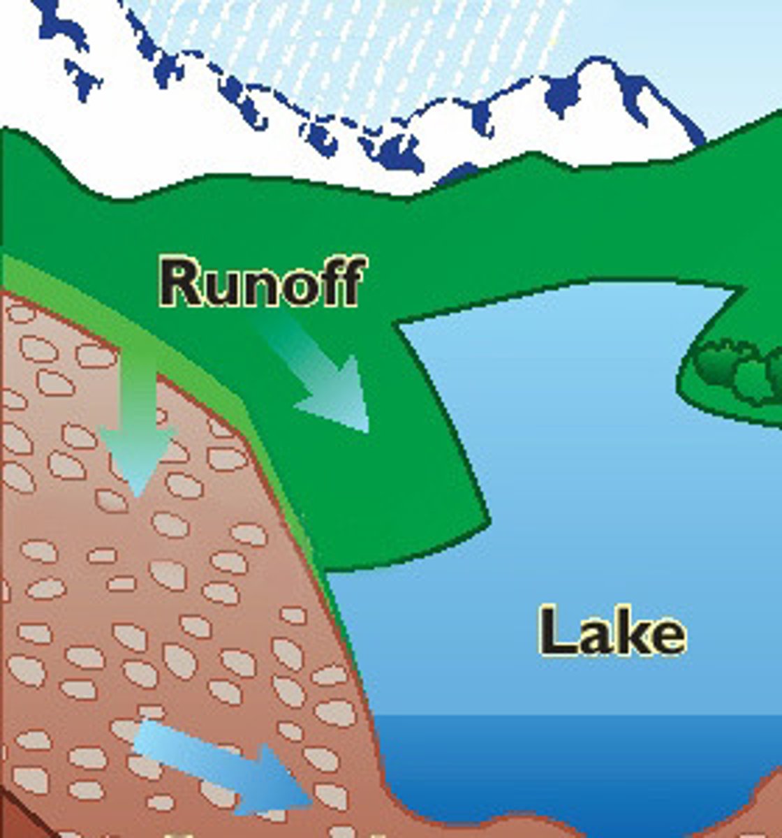 <p>Part of the water cycle where an excess of water runs down and does not sink into the soil and eventually makes it to the rivers, lakes, and oceans.</p>