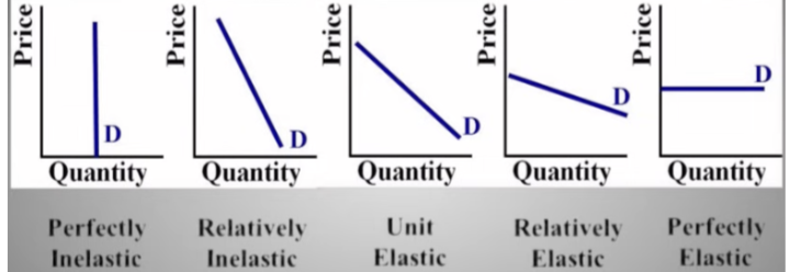 <p>elasticity of demand </p>